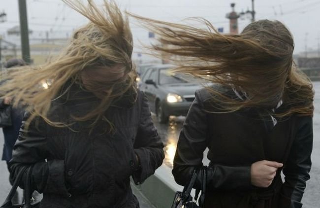 В Минске на 14 января объявлен красный уровень опасности из-за сильного ветра