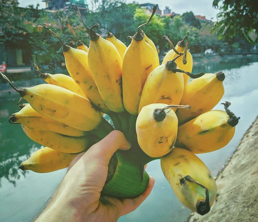 Какие бананы стоит есть: зеленые или с темными точками