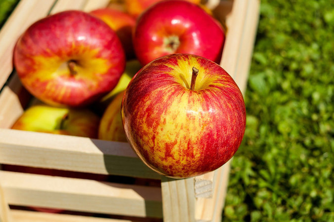 Медики выяснили, как яблоки влияют на мышцы