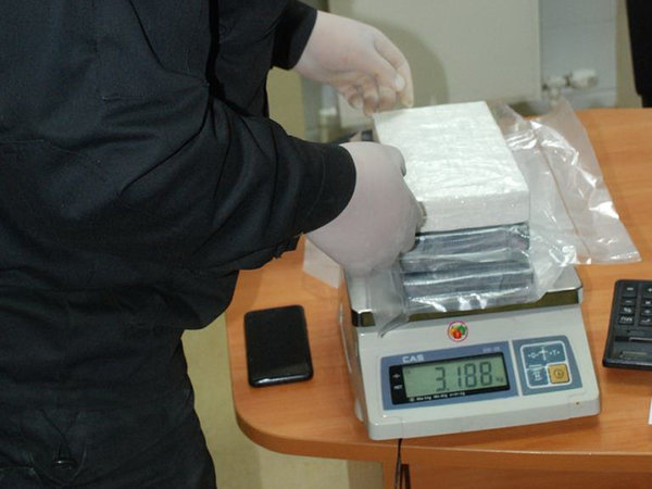 Белорусские таможенники задержали крупную партию наркотиков стоимостью 380 тысяч долларов