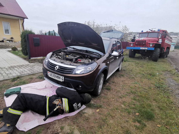 Сморгонские спасатели извлекли котенка из моторного отсека машины