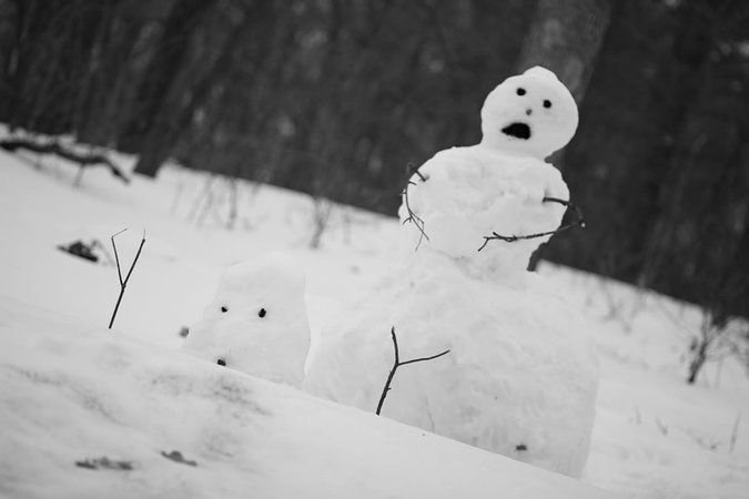 Брестчанина задержали за нападение на снеговика в Полоцке