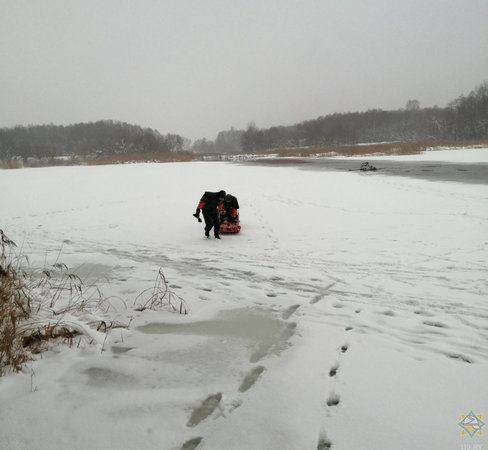 МЧС: В Гродно пес погнался за зайцем и угодил под лед