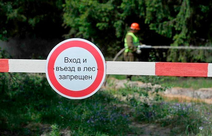 В Беларуси экстренно вводят ограничения на посещение лесов