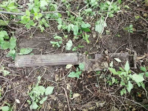 Мужчина нашел пулемет «Максим» в лесу под Гродно