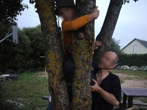 В Новогрудке ребенок застрял между двумя стволами дерева; понадобилась помощь спасателей