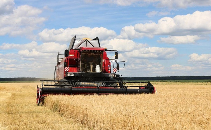 В Беларуси намолочено более 5,6 млн т зерна