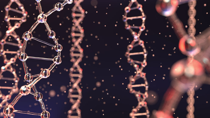 Британские учёные показали миру «танец» молекул ДНК