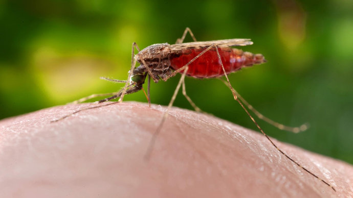 Вакцина, исторический прорыв в борьбе с малярией