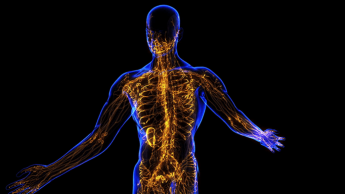 Как болезни пищевого происхождения защищают нервную систему кишечника