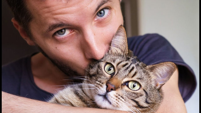 Ученые выяснили, как кошки влияют на мужское здоровье