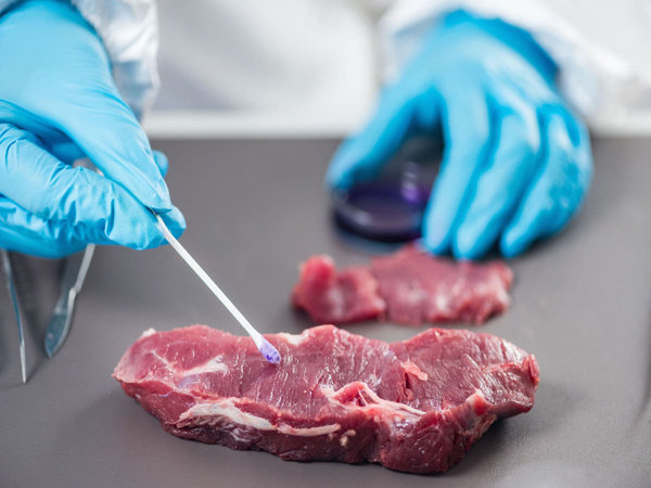 Ученые США предупреждают о новой опасности от мяса