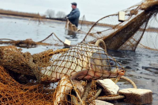 В Лидском районе задержали браконьеров, которые незаконно выловили сетью 45 видов рыб