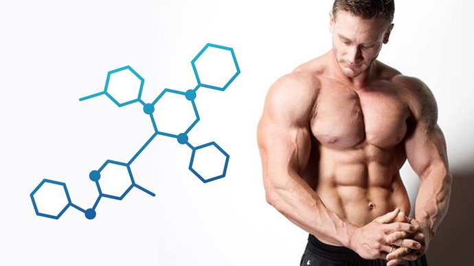 Мужские гормоны: как тестостерон влияет на мужчин