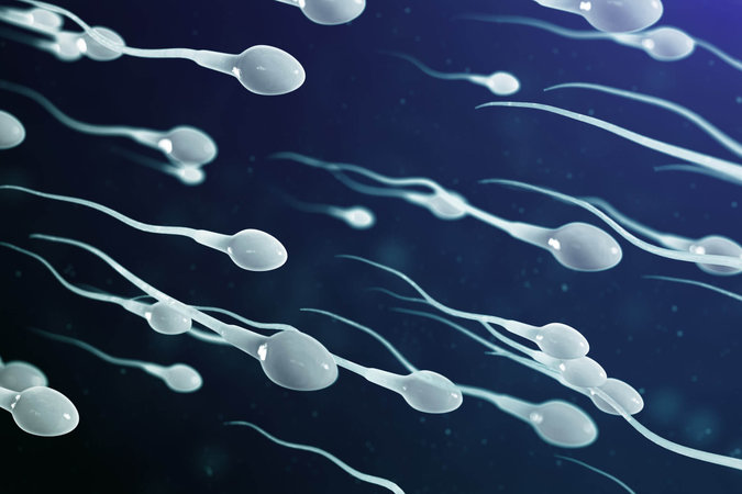 Время года влияет на качество спермы