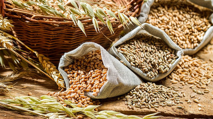 Правительство расширило список зерновых культур, которые запрещено вывозить из РБ