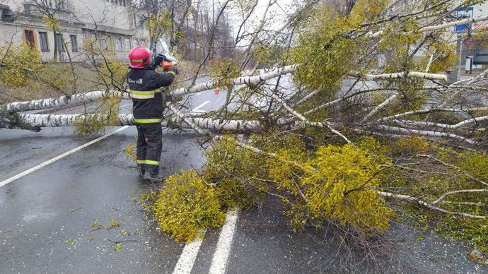 МЧС рассказало о последствиях усиления ветра в Гродненской области на выходных