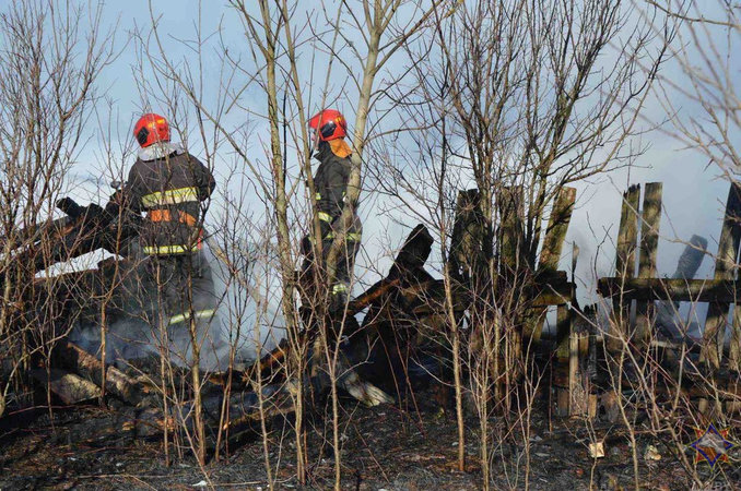 В Новогрудском районе от возгорания сухой растительности пострадало сразу три населенных пункта