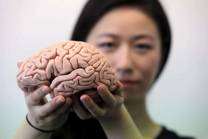 Диетолог перечислила продукты полезные для мозга человека