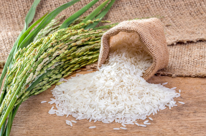 Правительство запретило вывоз риса из России до конца года