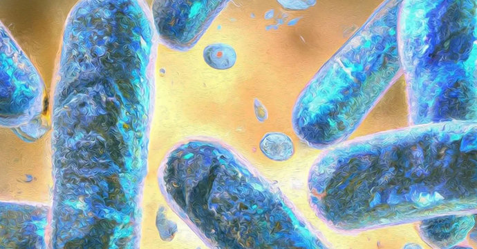 Ученые создают полуживые клетки-киборги, которые могут изменить медицину