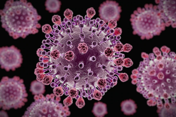 Вирус из вечной мерзлоты может быть предвестником новой пандемии
