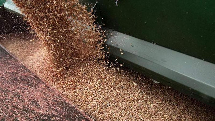 Еврокомиссия на старте запрета импорта зерна из Украины
