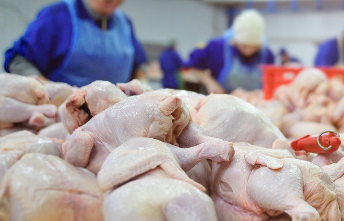 С 1 августа Беларусь ограничила экспорт мяса птицы