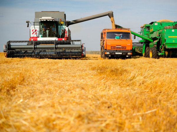 Россия впервые продала пшеницу после зерновой сделки