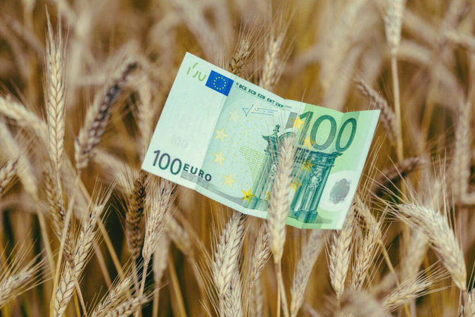 Литва возобновила закупку российского зерна