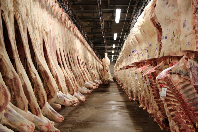 Правоохранители задержали предпринимателей продававших мясо падших животных