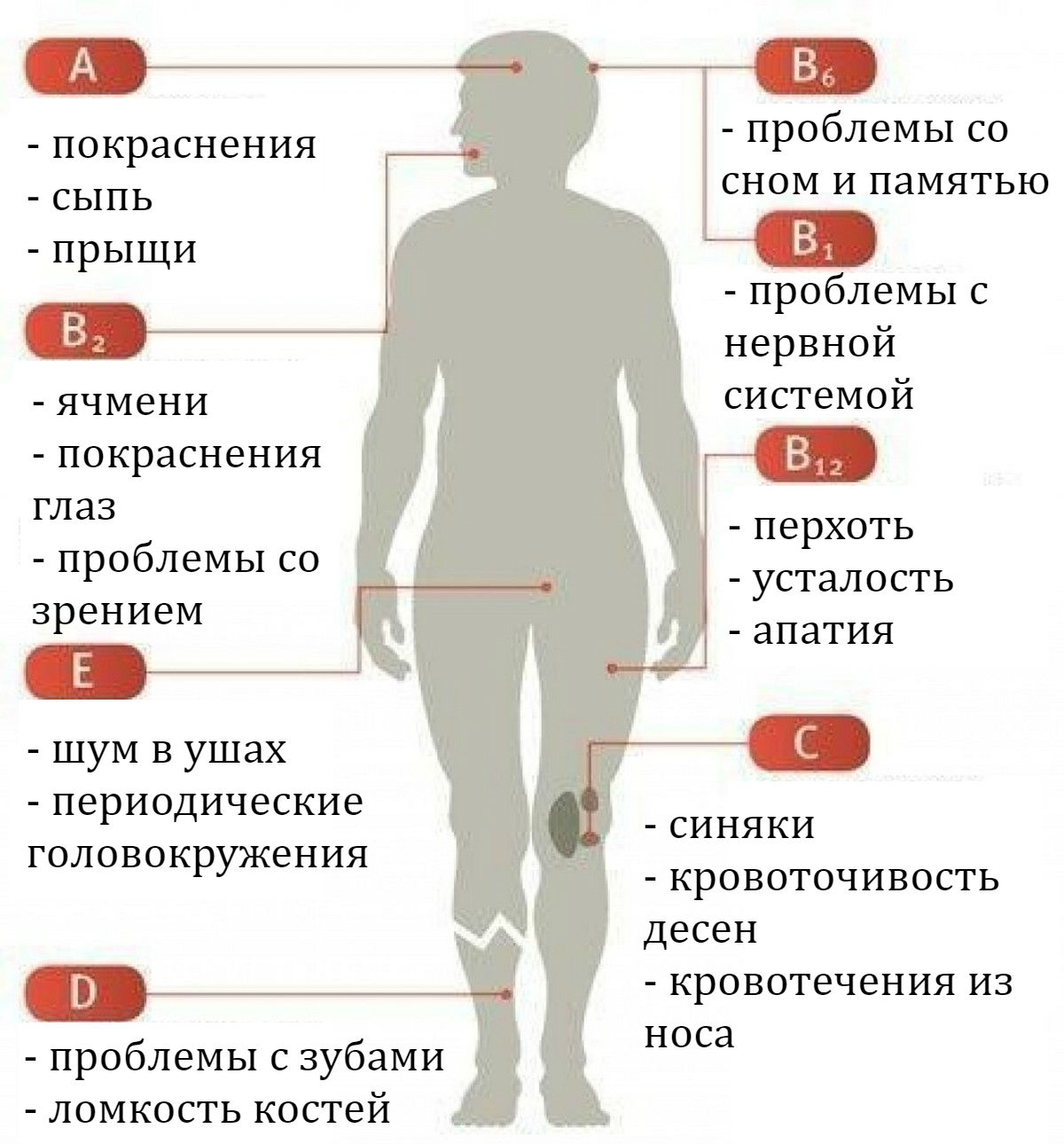 Каких витаминов не хватает женщине