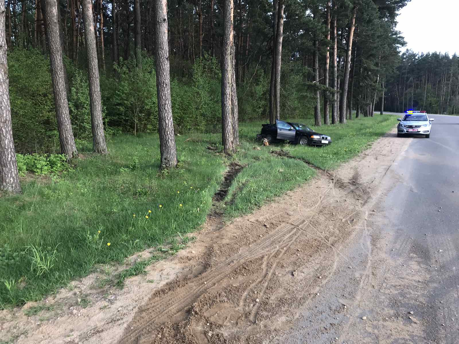 Газель в дерево