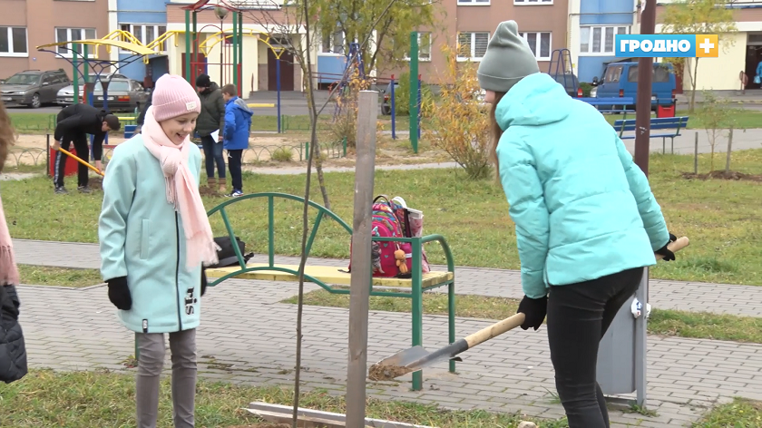 Фото на документы гродно вишневец