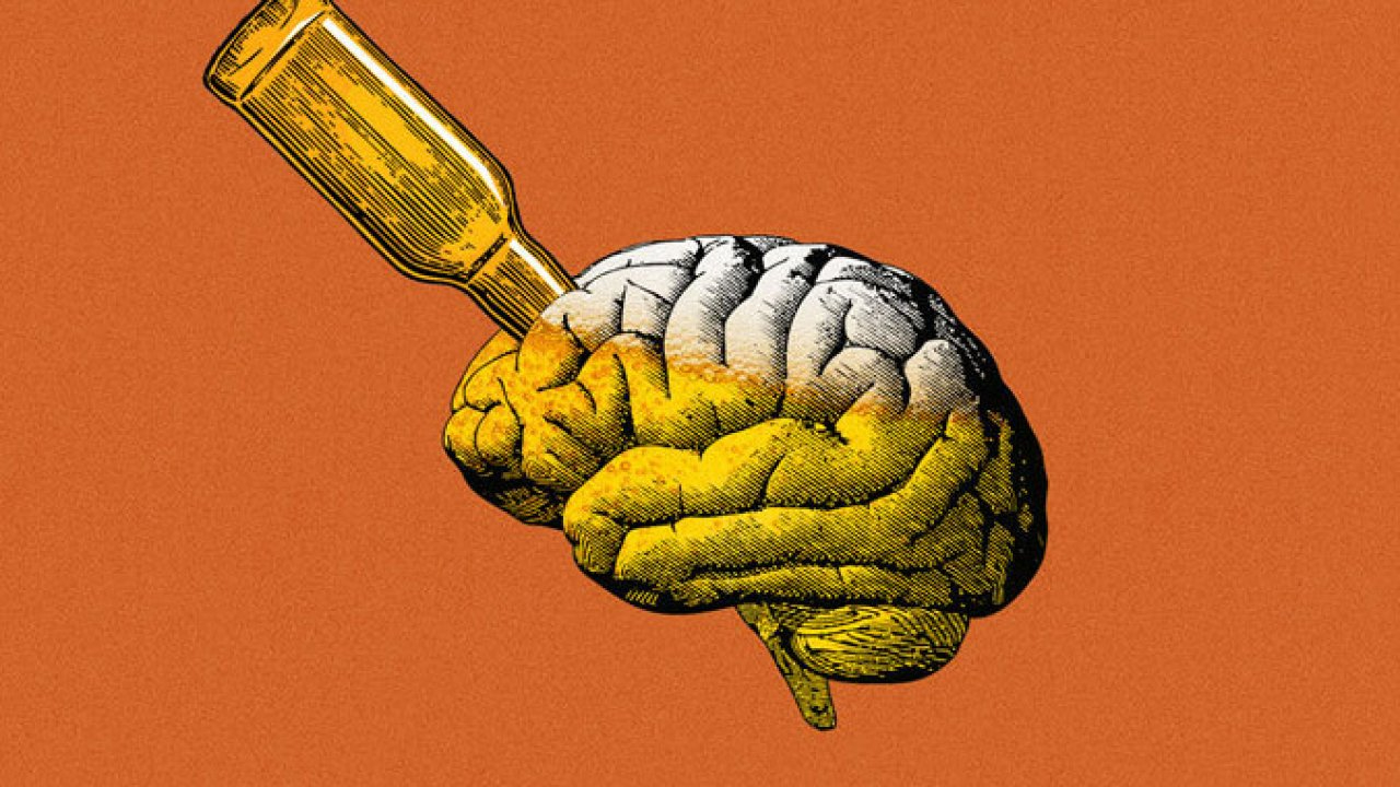 Мозг алкоголика и здорового человека фото