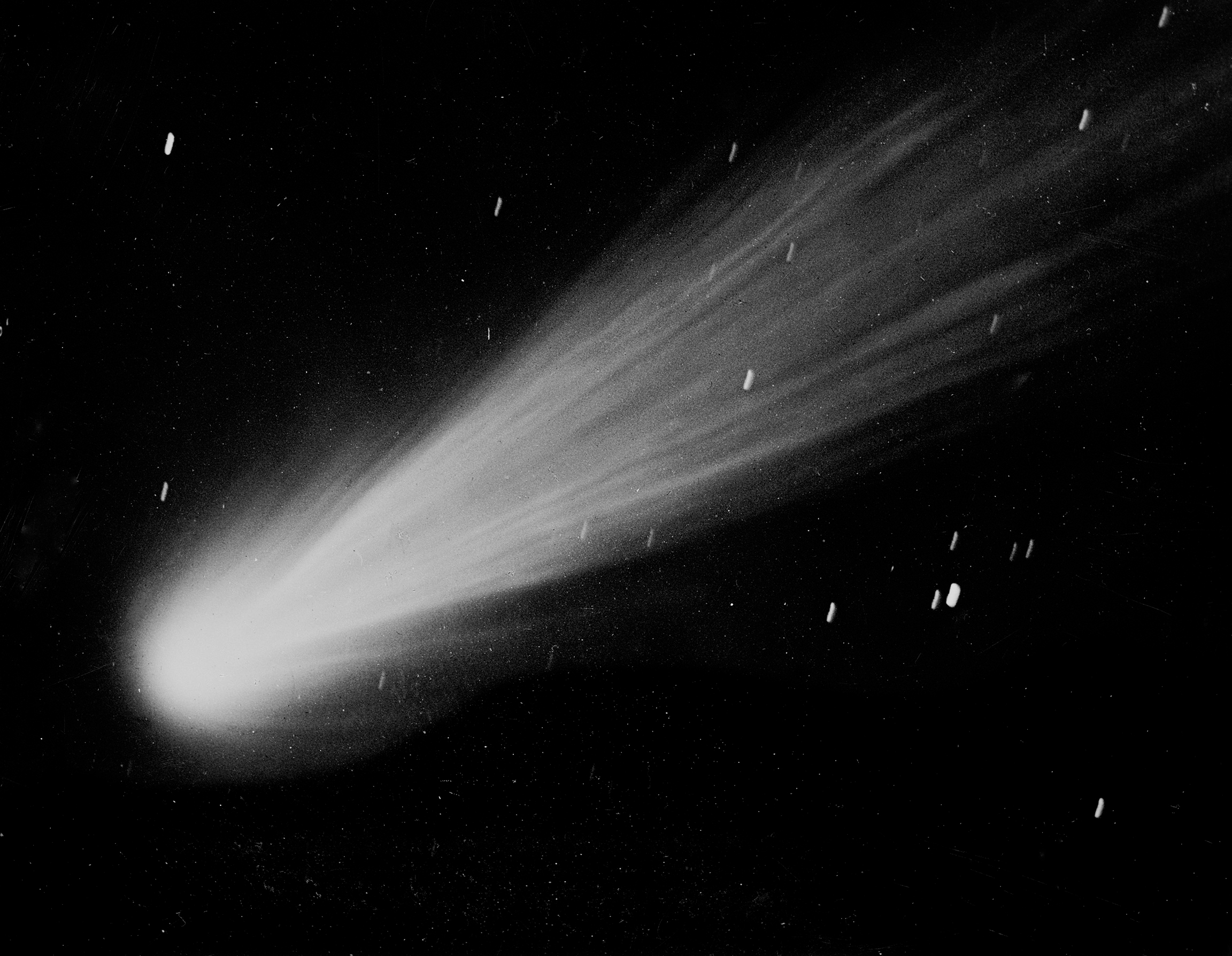 Комета понса брукса краснодар