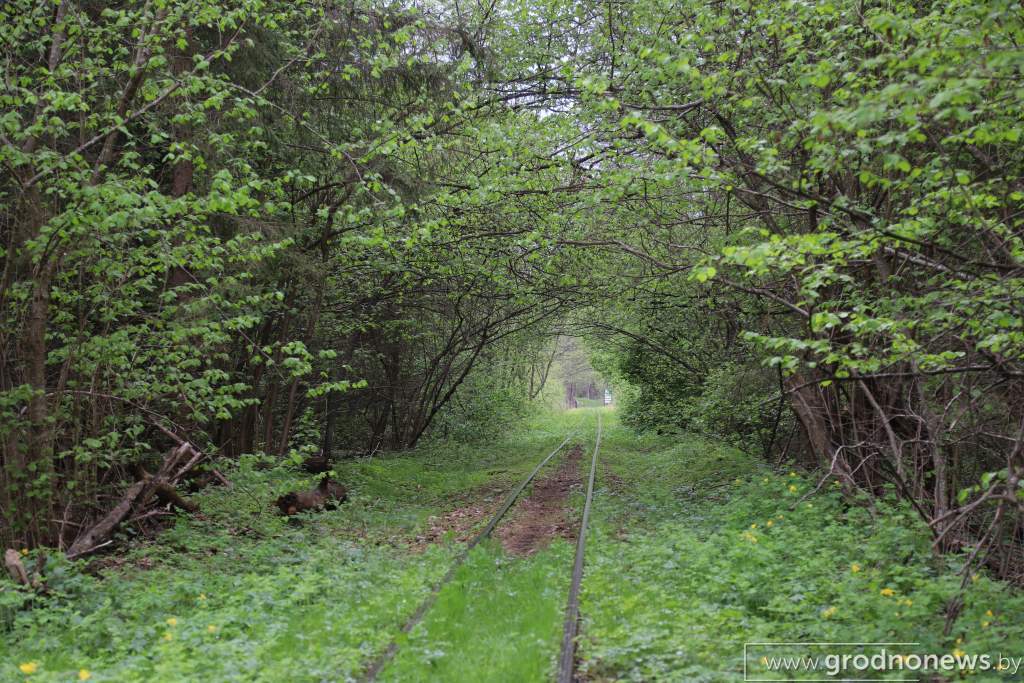 Электродрезина в Озёрном