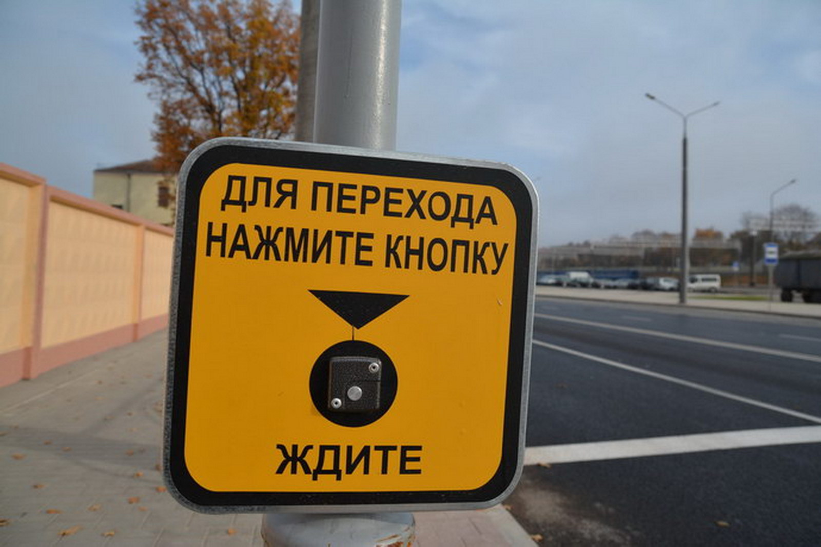 светофор