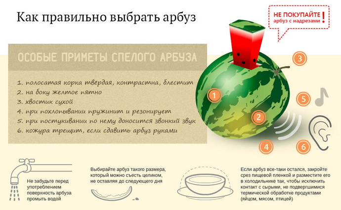 Как правильно выбрать арбуз