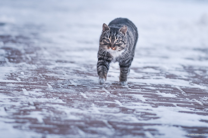 Железнодорожная станция Поречье