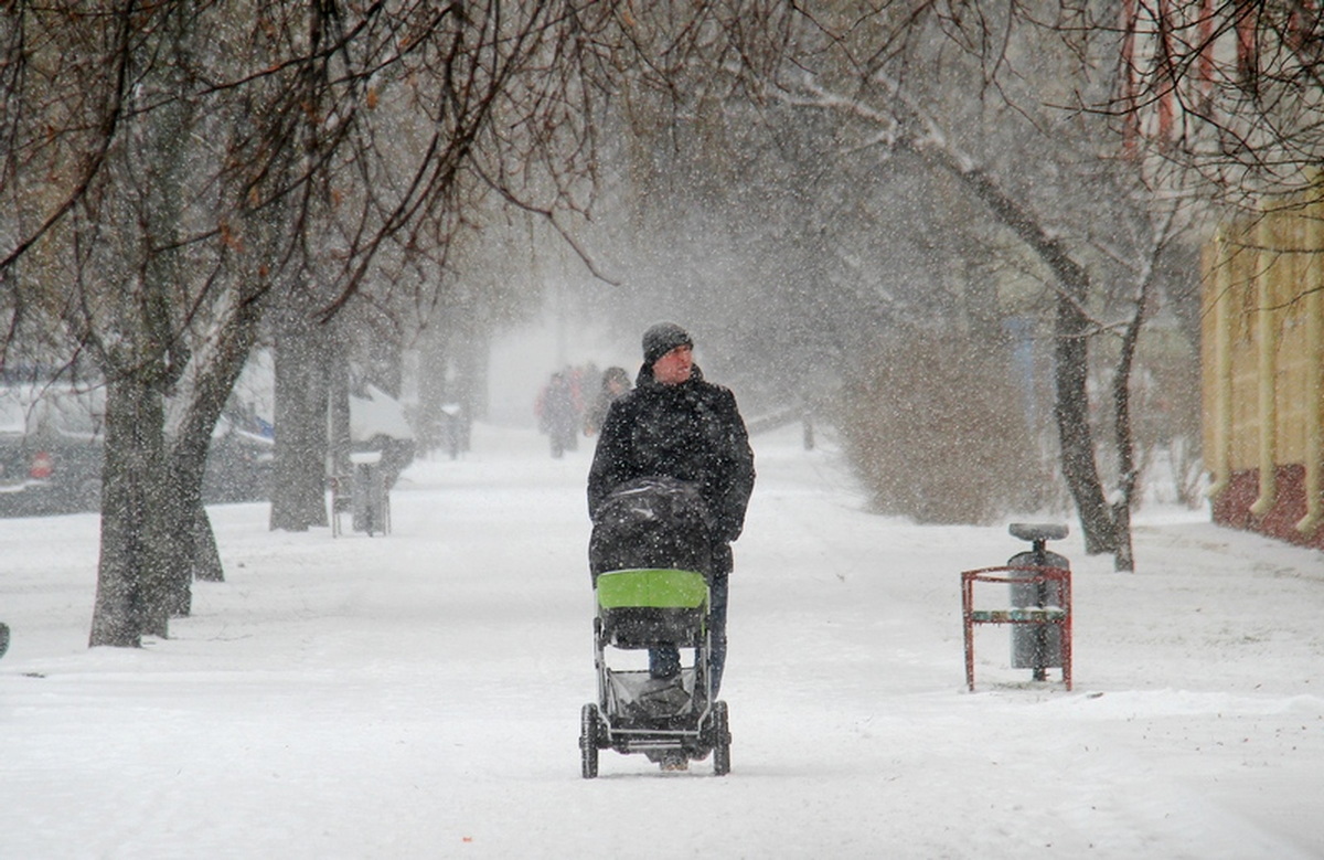 в Гродно выпал снег фото