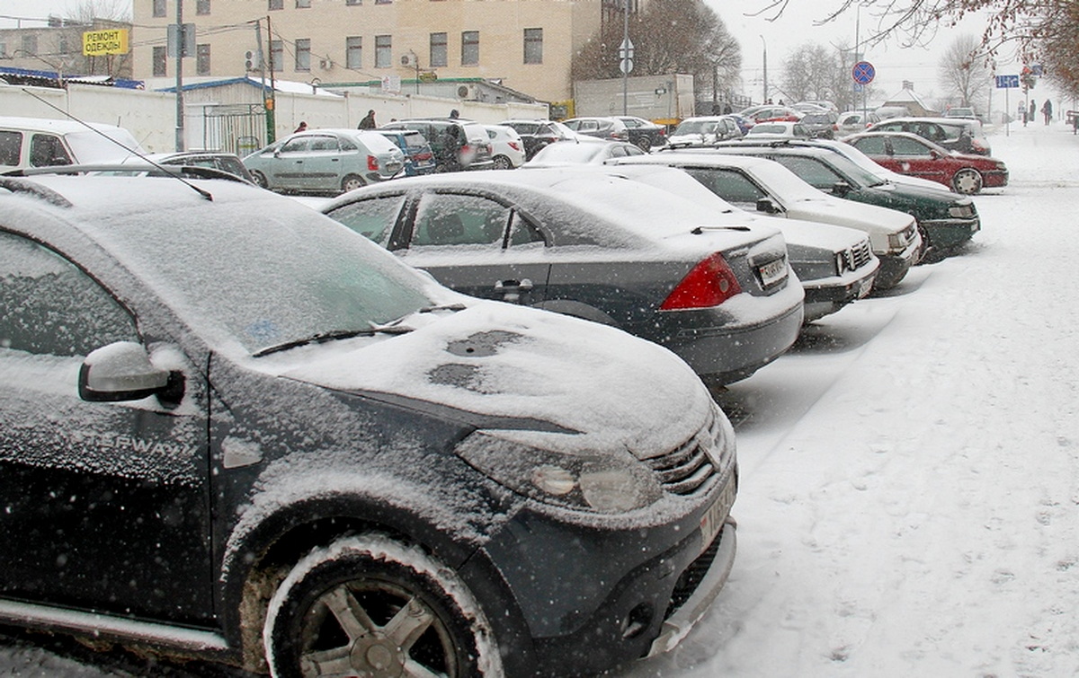 в Гродно выпал снег фото