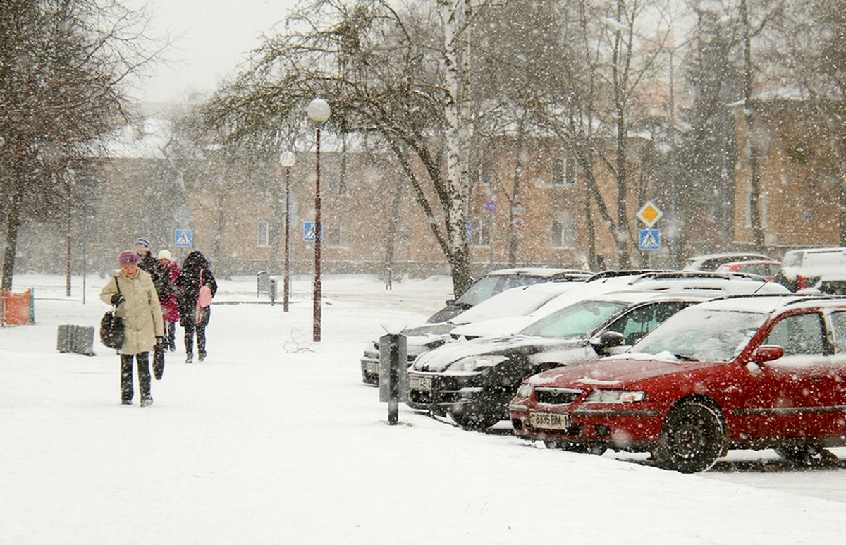 в Гродно выпал снег фото