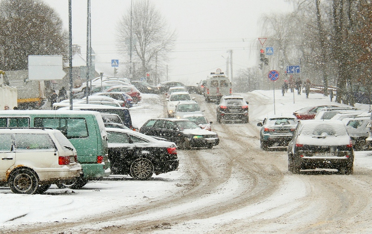 в Гродно выпал снег фото