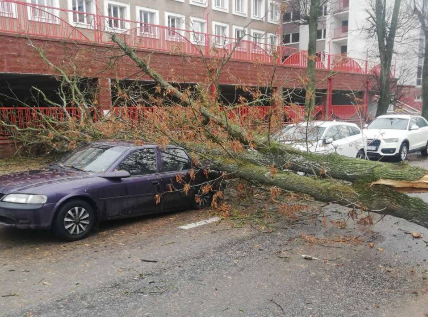 Непогода в белоруссии. Ураган в Беларуси. Ураган в Минске. Последствия сильного ветра. Ураган в Минске вчера.