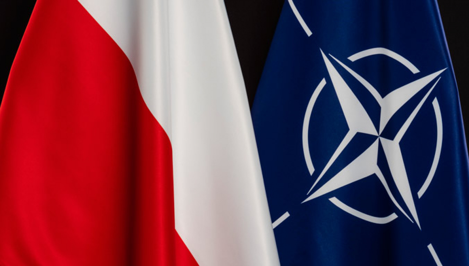 Польша находится в нато. НАТО Отан. Италия НАТО. Польша НАТО. Польша в НАТО И ЕС.