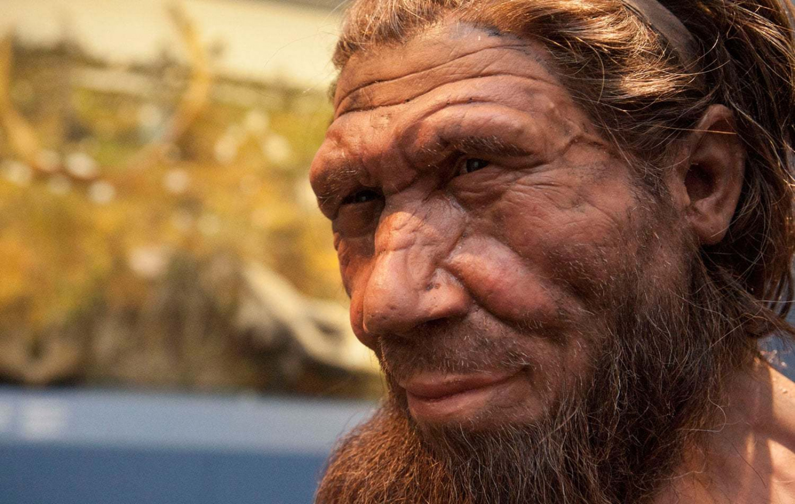 Homo neanderthalensis. Неандерталец и Денисовец. Кроманьонцы и неандертальцы и денисовцы. Неандерталец кроманьонец Денисовец.