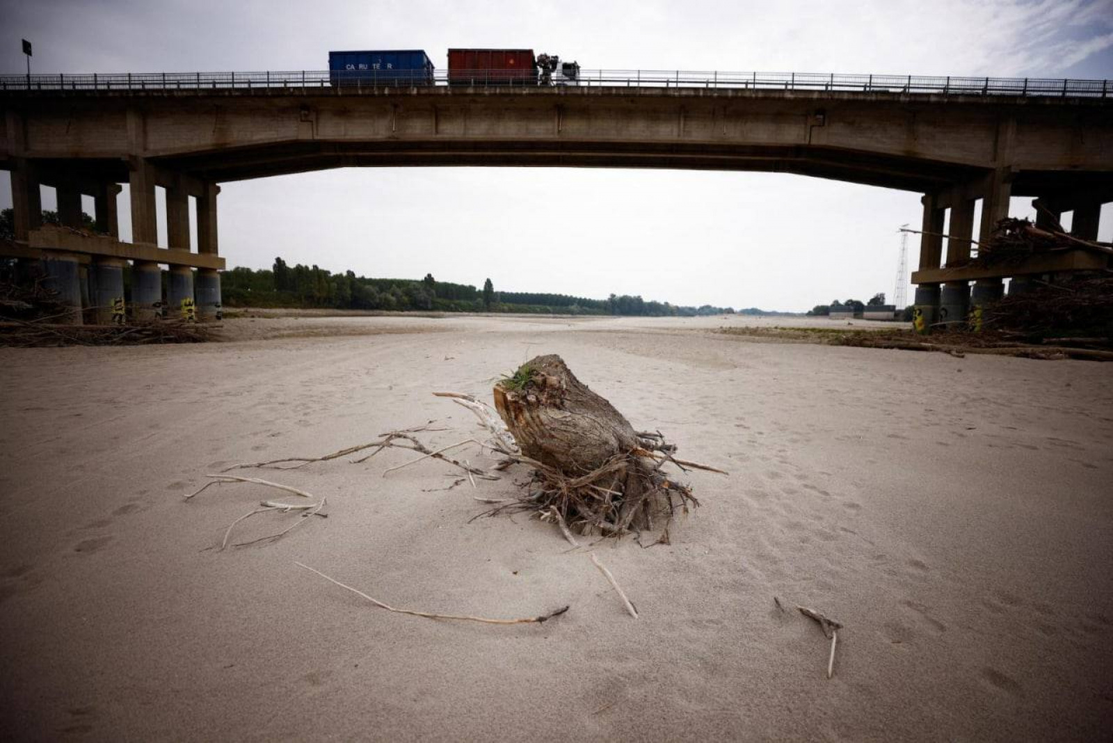 Высохли в следствие засухи. Река Рейн 2022 обмеление. Засуха. Пересохшая река. Высохшая река.