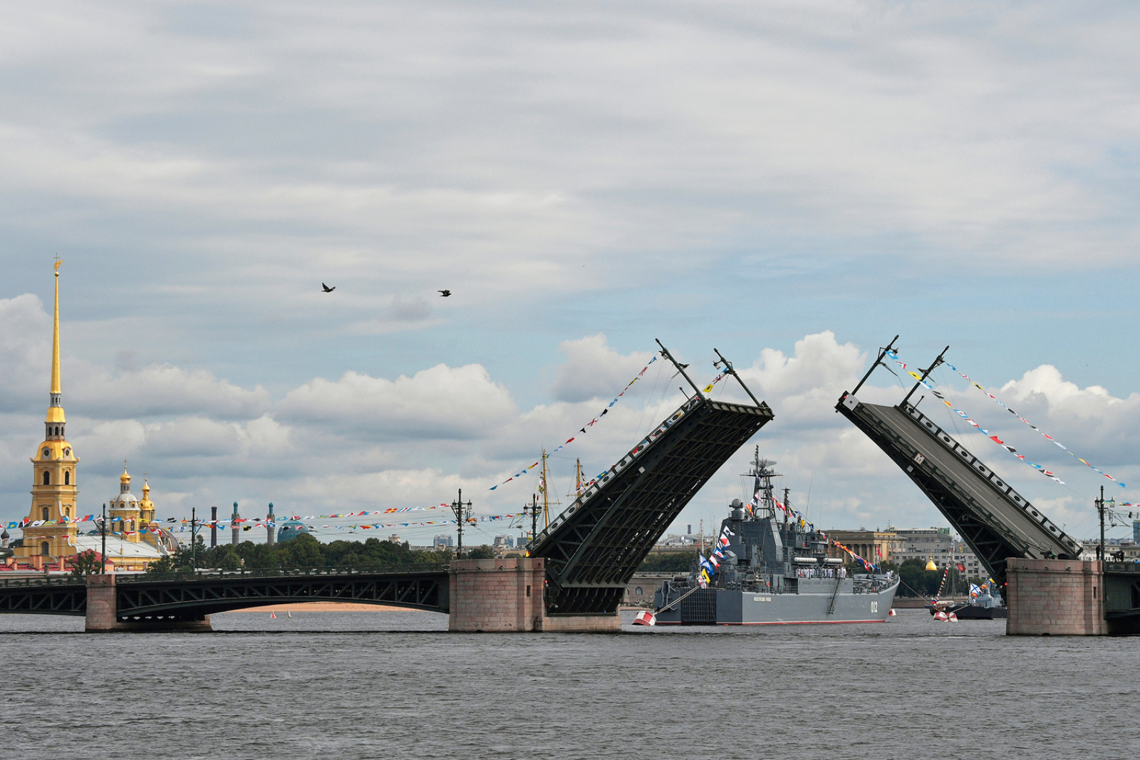 Rt санкт петербург. Разводной мост в Санкт-Петербурге. Смоленский мост Санкт-Петербург через Неву. Мосты через Неву. Санкт-Петербург днем.