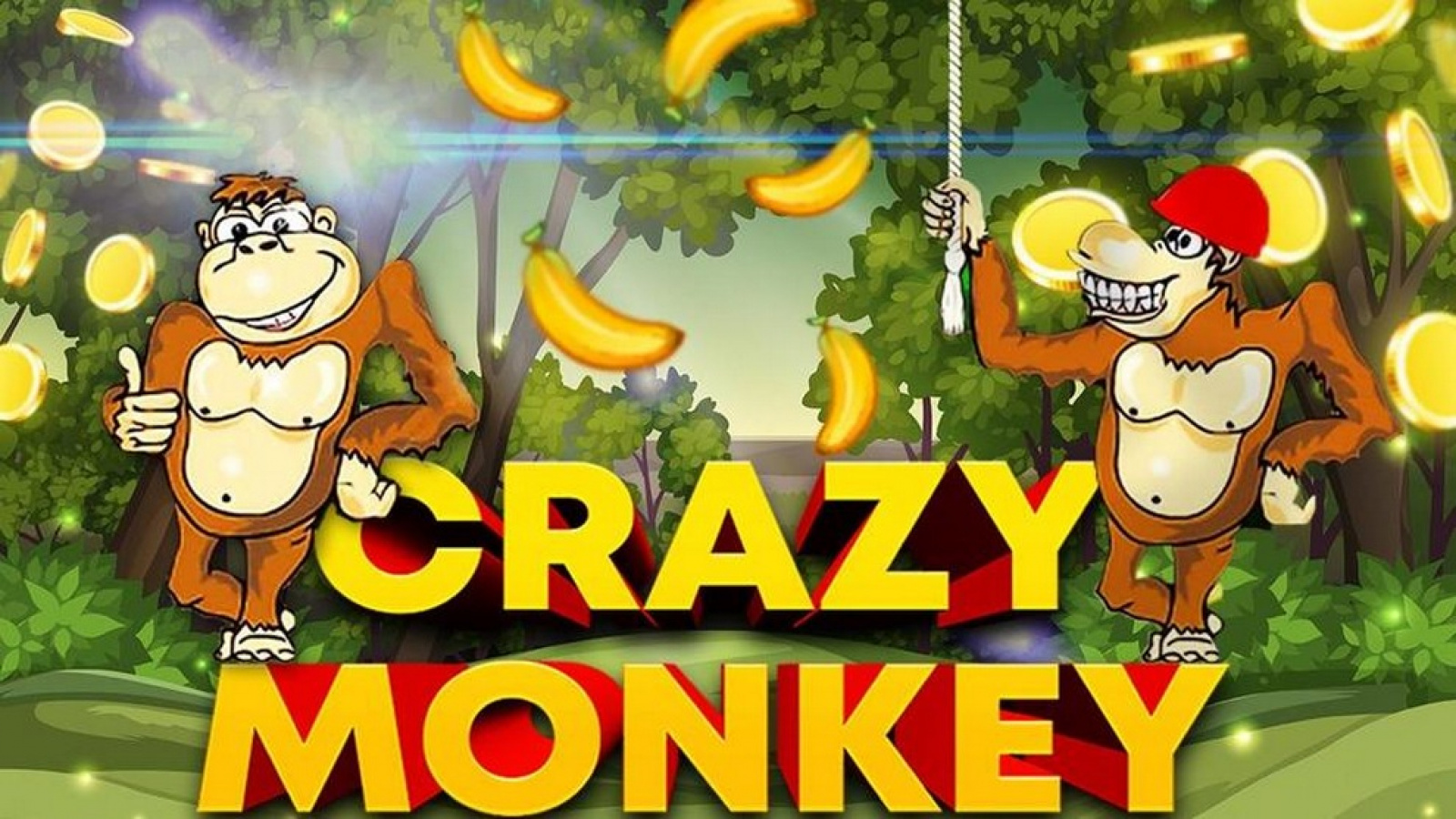 Crazy monkey